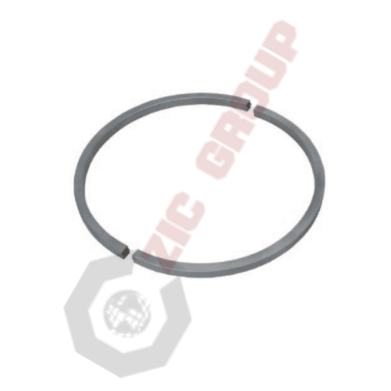 Divided Ring Dn 230 Schwing Oem#10003158