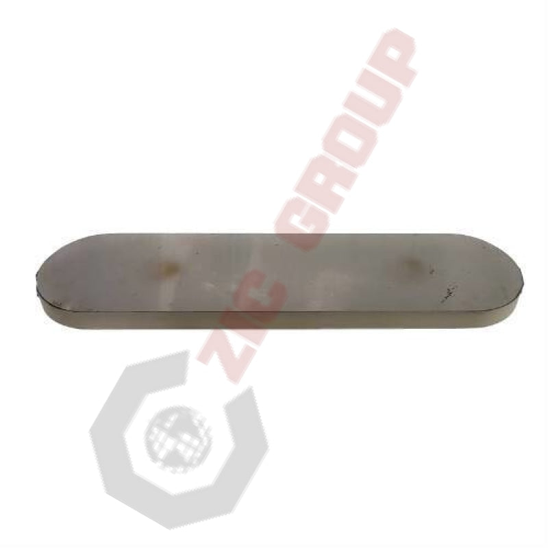 Friction plate (rounded strip), 259520001