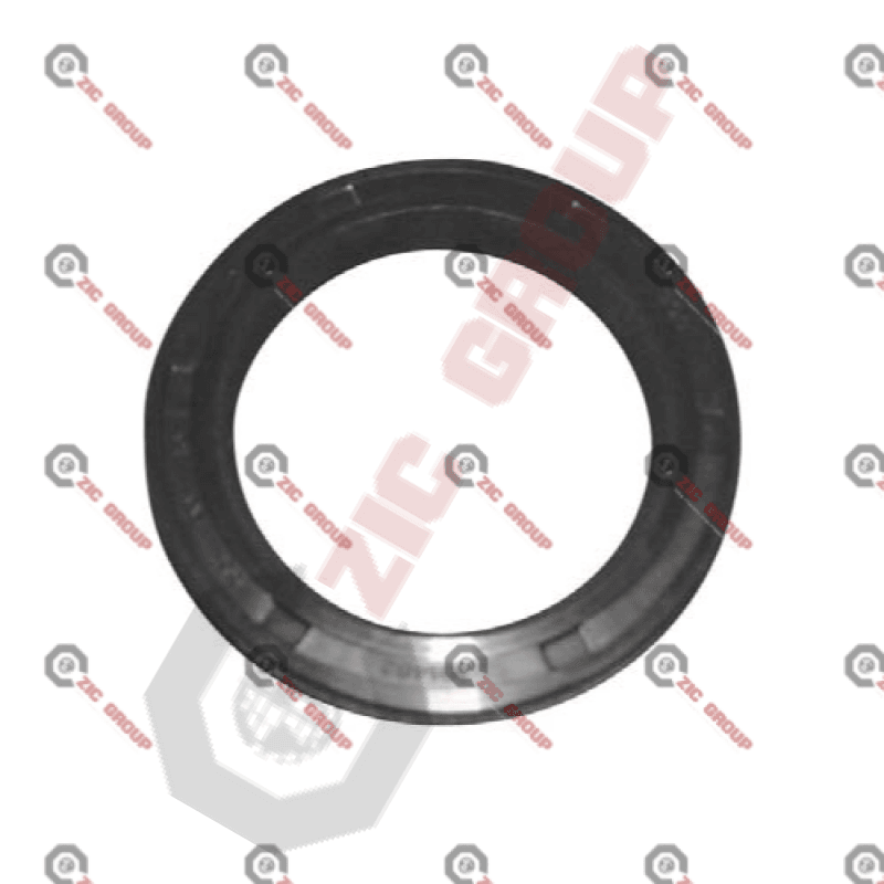 Radial Sealing Ring Schwing Oem#10004226