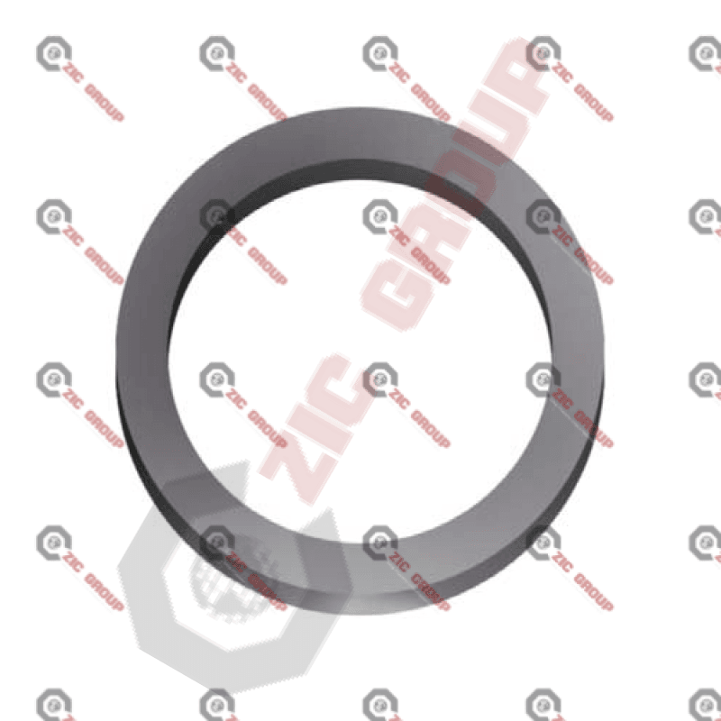 Radial Sealing Ring Schwing Oem#10006386