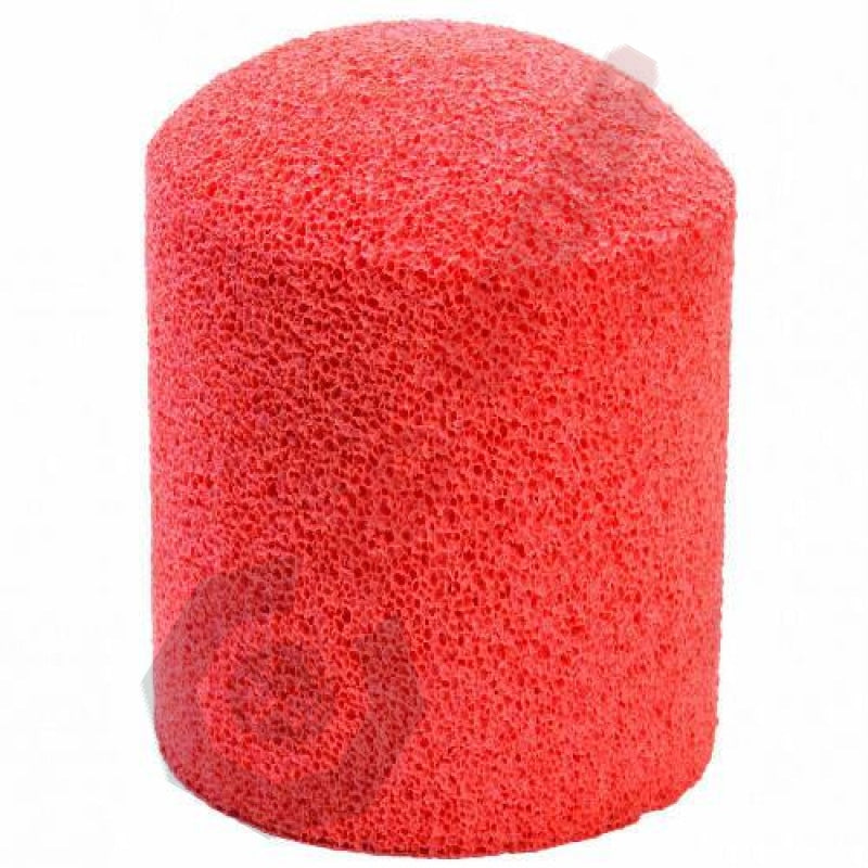 Sponge Cylinder